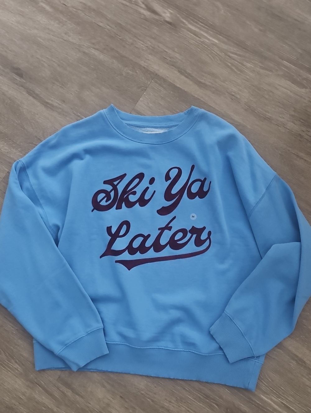 American Eagle Outfitters Light Blue Crewneck with Ski Ya Later print